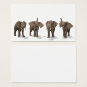Quartet des éléphants (Devant & derrière)