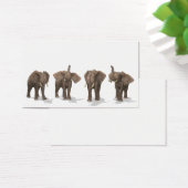 Quartet des éléphants (Bureau)