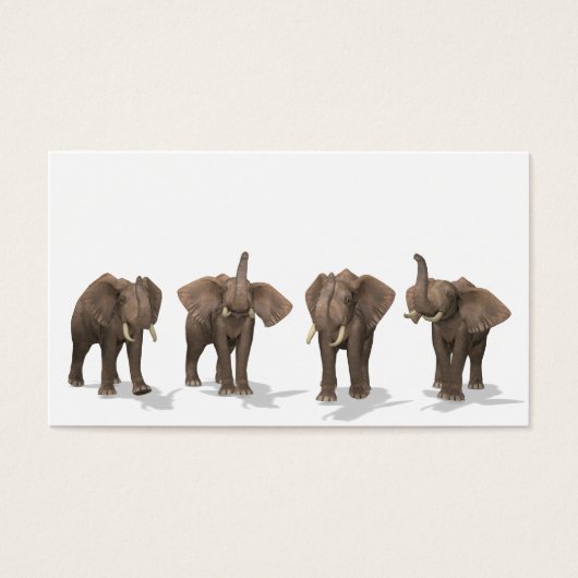 Quartet des éléphants (Devant)