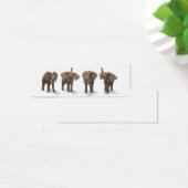 Quartet des éléphants (Bureau)