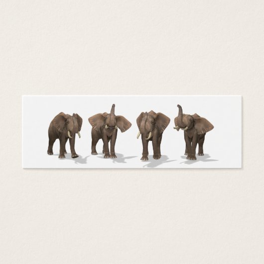 Quartet des éléphants (Devant)