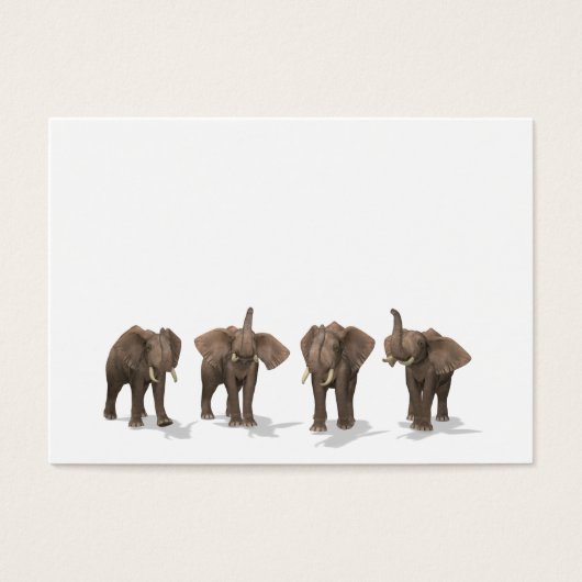 Quartet des éléphants (Devant)