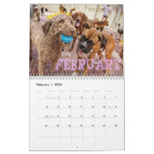 Quatre calendrier des pattes 2014 (Feb 2026)