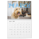 Quatre calendrier des pattes 2014 (Mar 2027)