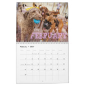 Quatre calendrier des pattes 2014 (Feb 2027)