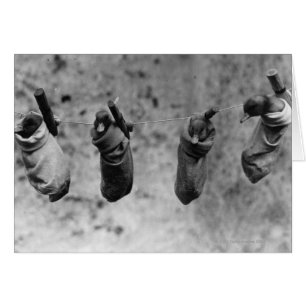 Quatre canetons d'un jour sortis du danger