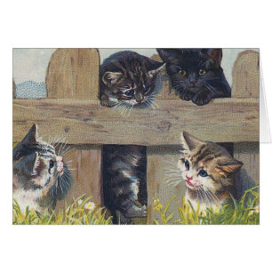 Quatre Chatons Jouant Illustration Vintage