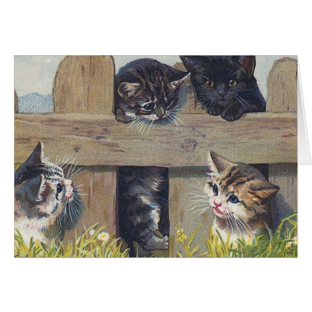 Quatre Chatons Jouant Illustration Vintage (Devant horizontal)