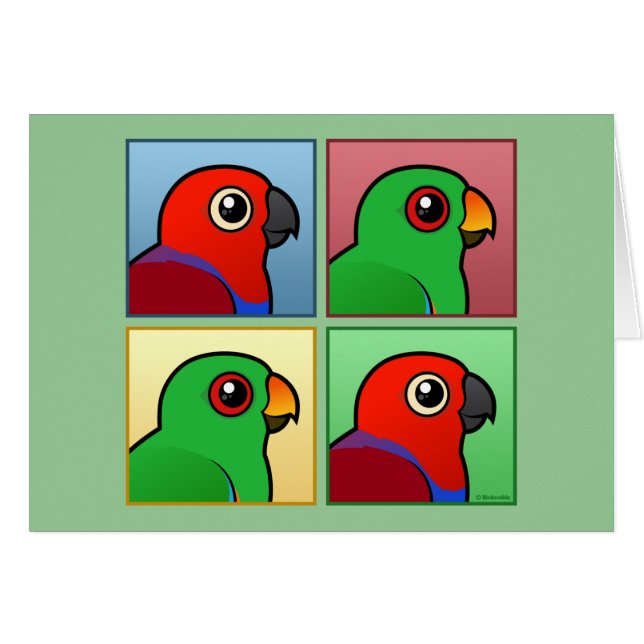Quatre couleur Eclectus (Devant horizontal)