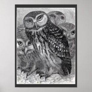 Quatre Hiboux Affiche Vintage Noir et Blanc