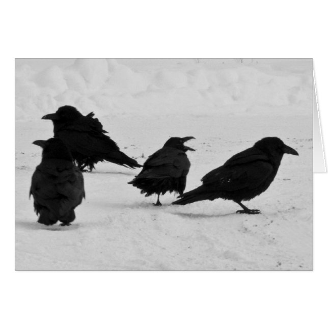 Quatre Ravens (Devant horizontal)