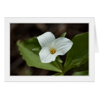 quatre saisons au michigan carte 01