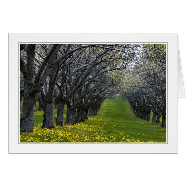 quatre saisons au michigan carte 02 (Devant Horizontal)