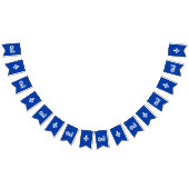 QUEBEC OUI VLAGGETJES (Alle)