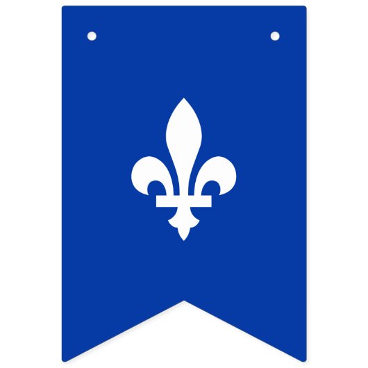 QUEBEC OUI VLAGGETJES (Tweede vlag)