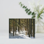 Quechee, VT Briefkaart (Staand voorkant)