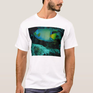 Queen Angel Fish T-shirt