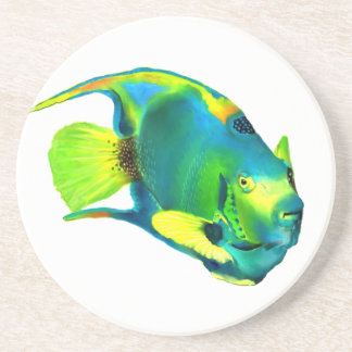 Queen Angelfish Onderzetter