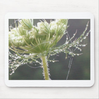 Queen Anne en Morning Dew Muismat