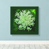 Queen Annes Lace Canvas Afdruk (Insitu (Houten vloer))