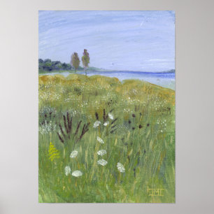 Queen Anne's Lace Poster