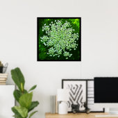 Queen Anne's Lace Poster (Thuiskantoor)