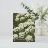 Queen Anne's Lace - Stempel Briefkaart (Staand voorkant)