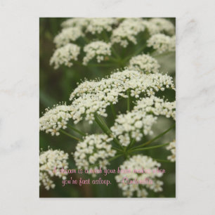 Queen Anne's Lace - Stempel Briefkaart