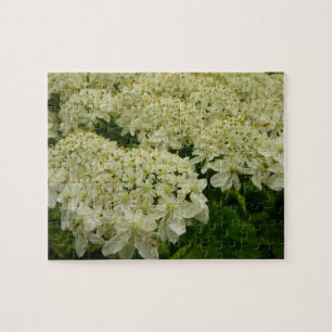 Queen Anne's Lace Wildflower Foto Legpuzzel
