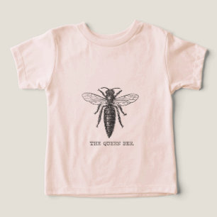 Queen Bee Bug Insect Antiek Illustratie