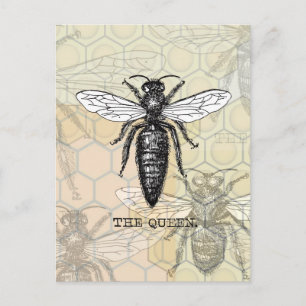 Queen Bee Bug Insect Antiek Illustratie Briefkaart
