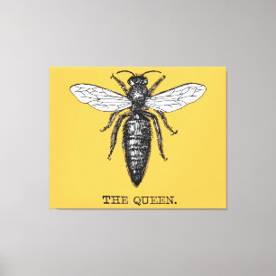 Queen Bee Bug Insect Antiek Illustratie Canvas Afdruk