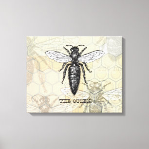 Queen Bee Bug Insect Antiek Illustratie Canvas Afdruk