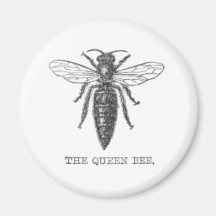 Queen Bee Bug Insect Antiek Illustratie Magneet