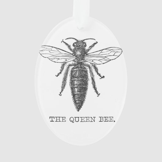Queen Bee Bug Insect Antiek Illustratie Ornament (achterkant)