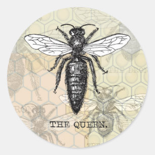 Queen Bee Bug Insect Antiek Illustratie Ronde Sticker