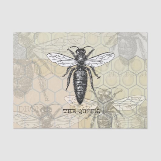 Queen Bee Bug Insect Antiek Illustratie Tissuepapier (Voorkant)