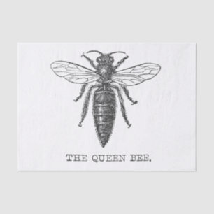 Queen Bee Bug Insect Antiek Illustratie Tissuepapier