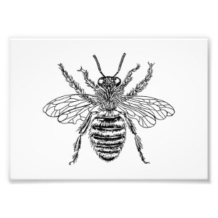 Queen Bee Foto Afdruk