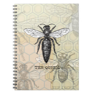 Queen Bee Illustration Bug Insect Notitieboek