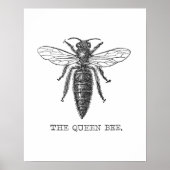 Queen Bee Illustration Bug Insect Poster (Voorkant)