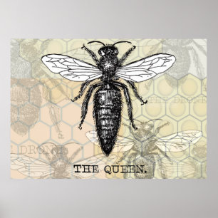 Queen Bee Illustration Bug Insect Poster