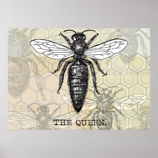 Queen Bee Illustration Bug Insect Poster (Voorkant)