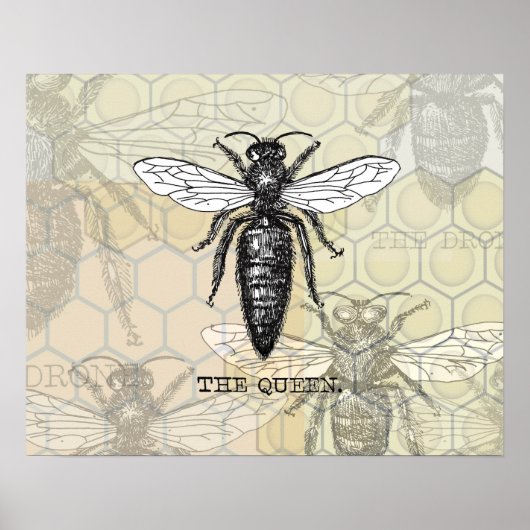 Queen Bee Illustration Bug Insect Poster (Voorkant)