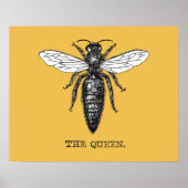 Queen Bee Illustration Bug Insect Poster (Voorkant)