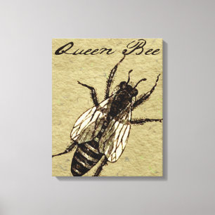 Queen Bee Wildlife Bug Insect Canvas Afdruk