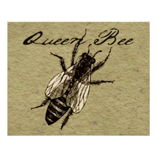 Queen Bee Wildlife Bug Insect Perfect Poster