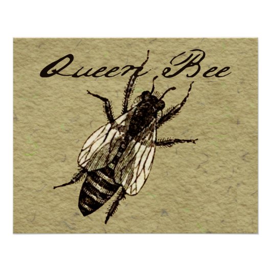 Queen Bee Wildlife Bug Insect Perfect Poster (Voorkant)