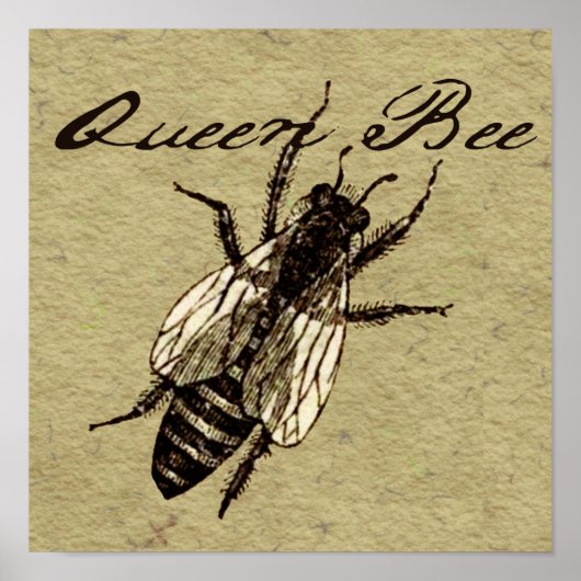 Queen Bee Wildlife Bug Insect Poster (Voorkant)