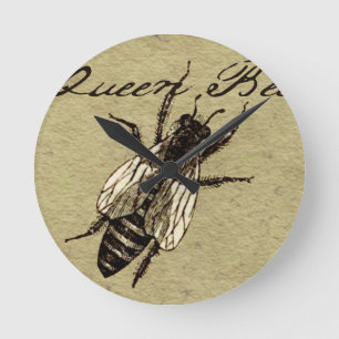 Queen Bee Wildlife Bug Insect Ronde Klok
